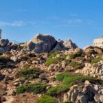 Santa Teresa Gallura: Valle della Luna hiking - Who Is This Tour Best For?