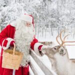 SANTA VILLAGE and the arctic circle - Who Should Consider This Tour?