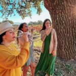 Santa Ynez Wine Tour (All-Inclusive) - Who Should Consider This Tour?