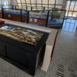 Santadi (SU): visit to the Archaeological and Ethnographic Museum - Final Thoughts: Who Will Love This Experience?