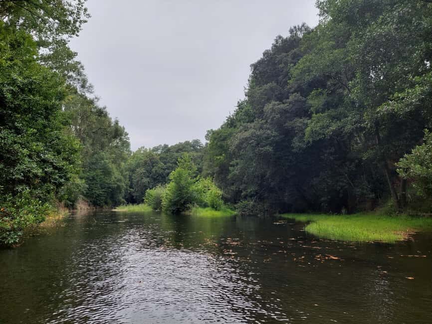 Santander: Guided boat tours of Santander Bay - Deep Dive: The Full Experience