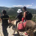 Santo Stefano di Sessanio: Village Donkey Trek Experience - Who Would Enjoy This Tour?
