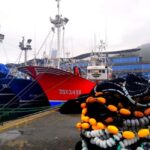 Santoña: Anchovy Art Gallery with Fishing Port and Market - What’s the Value?