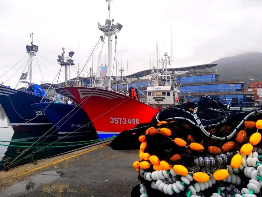 Santoña: Anchovy Art Gallery with Fishing Port and Market - What’s the Value?