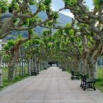 Santoña: Anchovy Factory Tour and Boat Trip - Actual Traveler Experiences and Insights