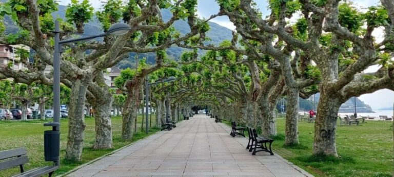 Santoña: Anchovy Factory Tour and Boat Trip - Actual Traveler Experiences and Insights