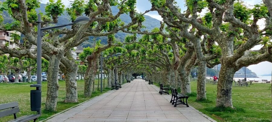 Santoña: Anchovy Factory Tour and Boat Trip - Actual Traveler Experiences and Insights