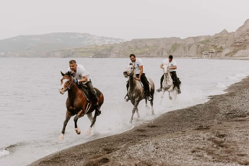 Santorini: Extreme Horse Safari with Beach Gallop - Authentic Traveler Insights