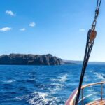 Santorini Port: Cruise to Volcano, Hot Springs & Thirassia - The Active Volcano: Nea Kameni