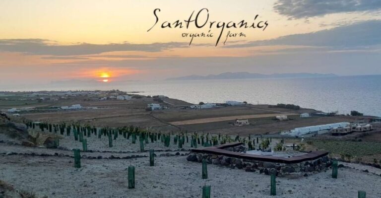 Santorini: Private Agri-Educational Visit to an Organic Farm - The Itinerary Breakdown