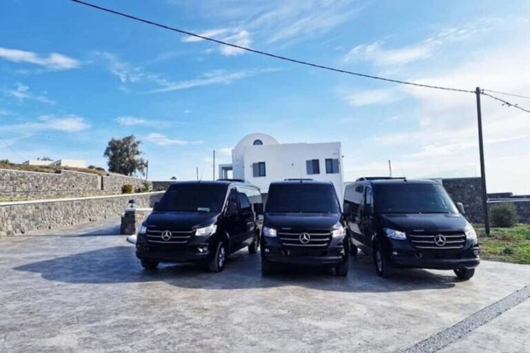 Santorini Private Half Day Tour - Transportation and Comfort
