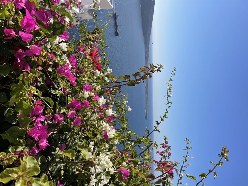 Santorini: Private Tour of the Famous Blue Domes and Caldera - Who Should Consider This Tour?