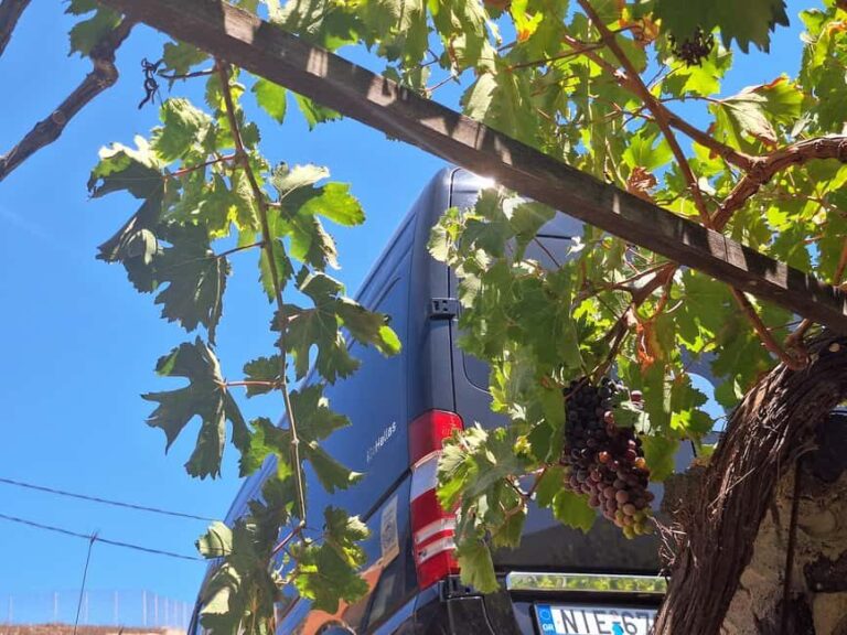 Santorini Private Wine Tour with Local Expert & Sunset - What Travelers Say