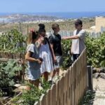 Santorini Sightseeing: Private Tour with Farm Lunch - Frequently Asked Questions