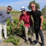 Santorini: Small-Group Sunset Wine Tour with Santo Winery - The Experience’s Highlights