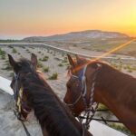 Santorini: Sunset Horse Riding Tour with Professional Photos - The Photography and Video Experience