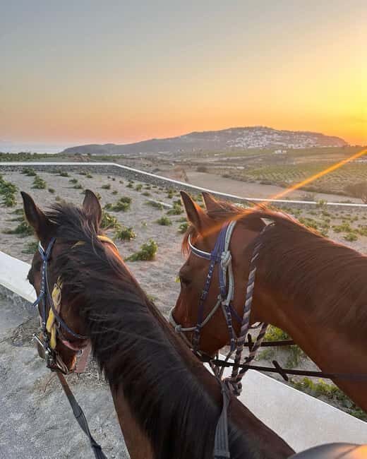 Santorini: Sunset Horse Riding Tour with Professional Photos - The Photography and Video Experience