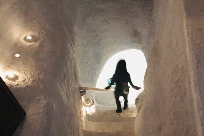 Santorini wine tasting and Traditional Cave Settlement Tour - Who Will Love This Tour?