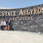 Santorini: Wine Tasting in locals wineries - Who Should Consider This Tour?