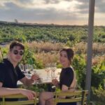 Santorini: Wine Tasting Tour - What to Expect from the Tour