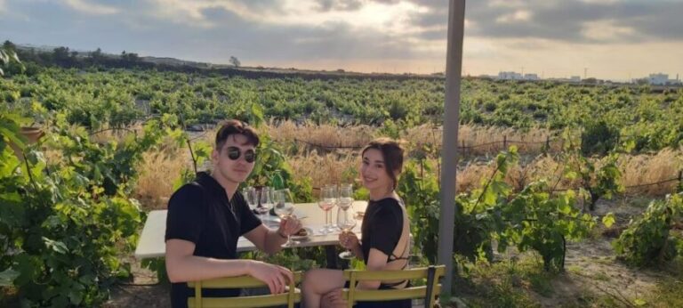 Santorini: Wine Tasting Tour - What to Expect from the Tour