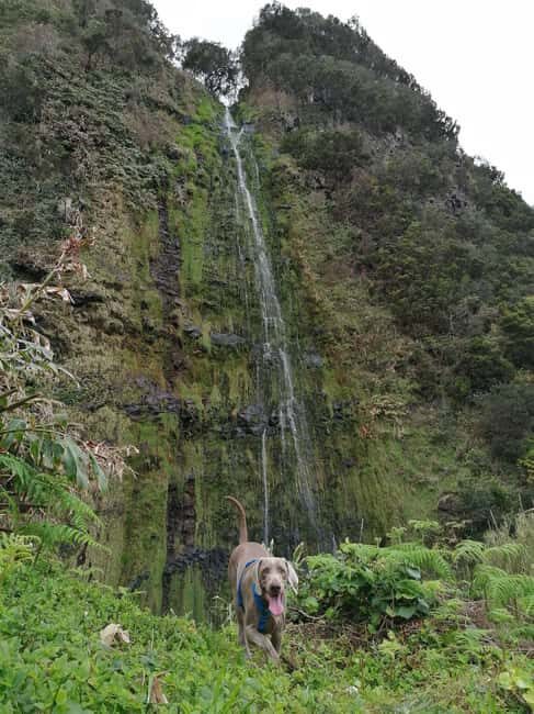 São Jorge: Fajã Camping and Hiking Tour - The Experience: Why It’s Special