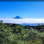 São Jorge: Island, Forest Reserve & Fajãs Guided Tour - The Full Scoop on São Jorge’s Grand Tour