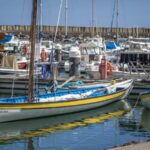 São Miguel: Azores Whaling Heritage Tour - The Real Value of This Tour