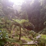 São Miguel: Full-Day Nordeste & Waterfall Tour with Lunch - Transportation, Group Size, and Duration