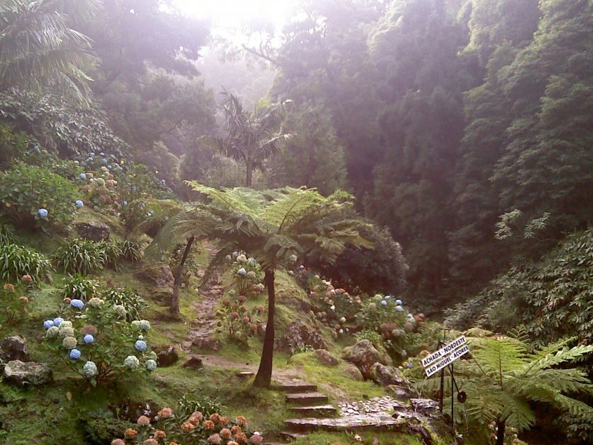 São Miguel: Full-Day Nordeste & Waterfall Tour with Lunch - Transportation, Group Size, and Duration