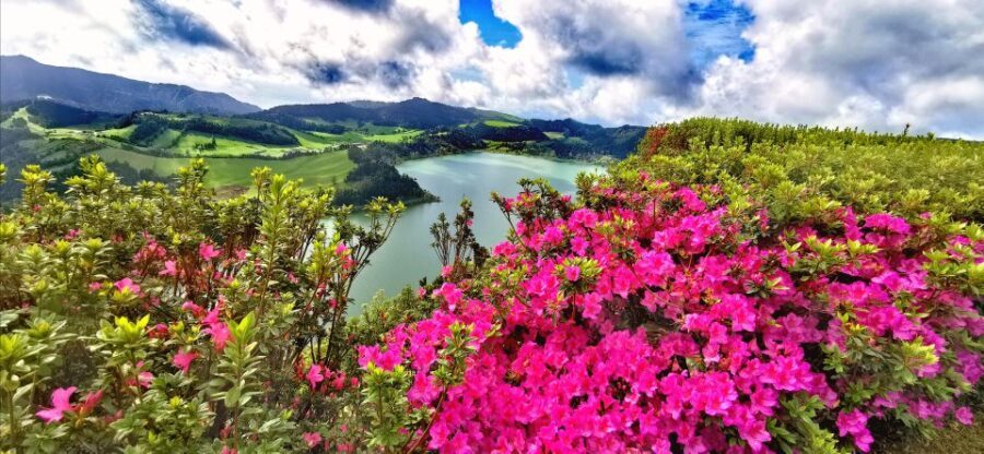 São Miguel: Furnas and Nordeste Full-Day Tour with Lunch - The Experience as a Whole