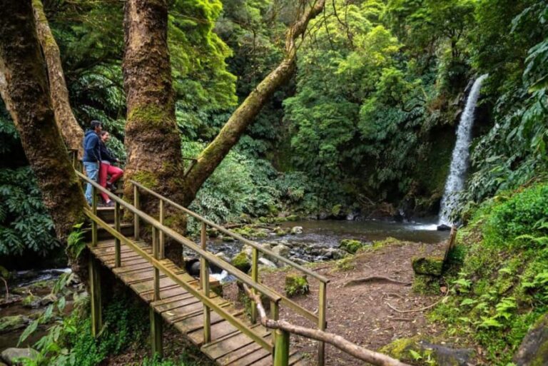 São Miguel Island: Chasing Waterfalls in the Azores Tour - The Transportation and Group Size