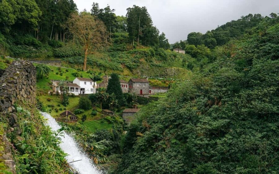 São Miguel Island: Full-Day Ribeira Park and Nordeste Tour - Final Thoughts