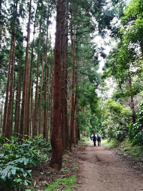 São Miguel: Lagoa do Fogo Hike - Practical Details and Tips