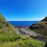 São Miguel: Moinho do Felix Hike with Tea Factory Visit - The Experience in Detail