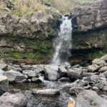 São Miguel: Nordeste Tour with Cow Milking - The Practicalities