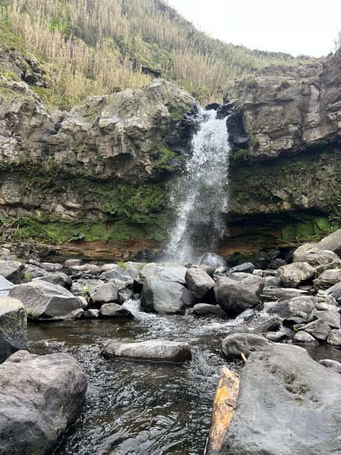 São Miguel: Nordeste Tour with Cow Milking - The Practicalities