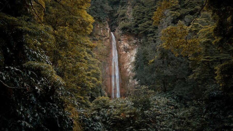 São Miguel Private Jeep 4×4  Furnas & East - Exploring the Geothermal Wonders of Furnas