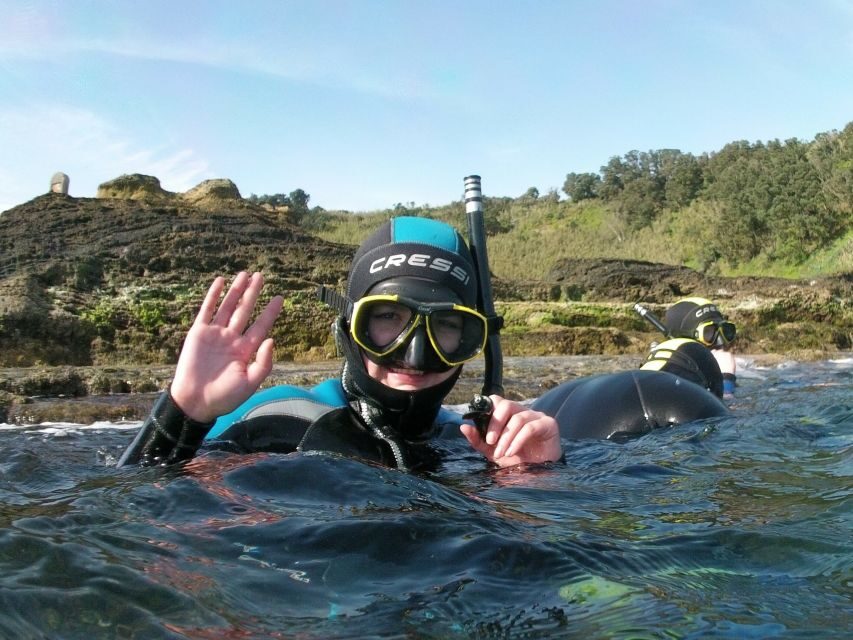 Sao Miguel: Snorkeling around Vila Franca do Campo - Who Should Consider This Tour?