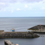 São Miguel:Rabo de Peixe From the Market to the Harbour Tour - What Makes This Tour Stand Out