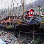 Sapanca and Zoo Private Tour From Istanbul - VIP Minivan - Best Quality - Who Would Love This Tour