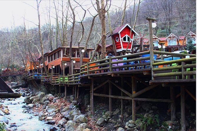 Sapanca and Zoo Private Tour From Istanbul - VIP Minivan - Best Quality - Who Would Love This Tour