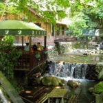 Sapanca Lake and Masukiye Tour - What the Reviews Say