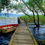 Sapanca Lake and Masukiye Tour from Istanbul - The Value and Practical Aspects