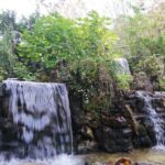 Sapanca & Masukiye Full-Day Tour with Lunch and Transfers - A Closer Look at the Tour Experience