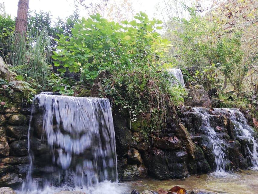 Sapanca & Masukiye Full-Day Tour with Lunch and Transfers - A Closer Look at the Tour Experience