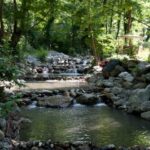 Sapanca Maukiye tour from Istanbul - Who Should Consider This Tour?