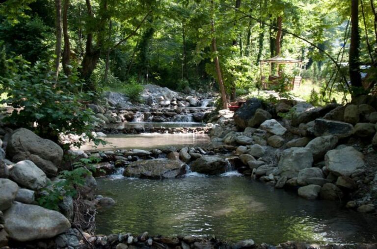 Sapanca Maukiye tour from Istanbul - Who Should Consider This Tour?