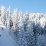 Sarajevo: 1984 Winter Olympics Site & Vrelo Bosne Day Trip - What’s Included & What’s Not