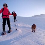 Sarajevo: Dinaric Alps Snowshoeing Tour - What the Day Looks Like